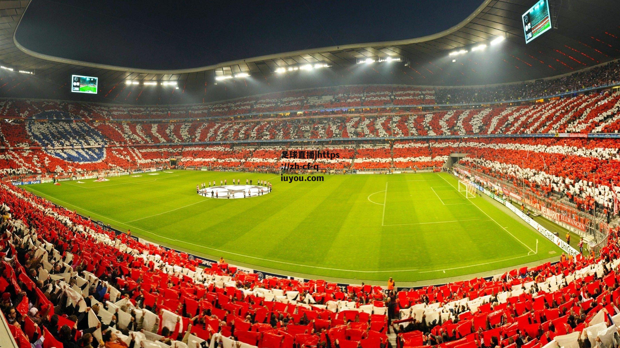 从跑道到雪场，全球运动员用热血与激情点亮2024